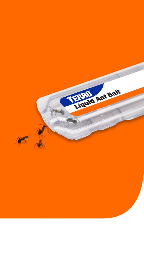 Terro Liquid Ant Baits
